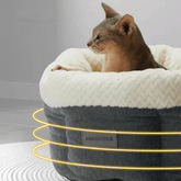 Heated CatDog Bed Indoor 006