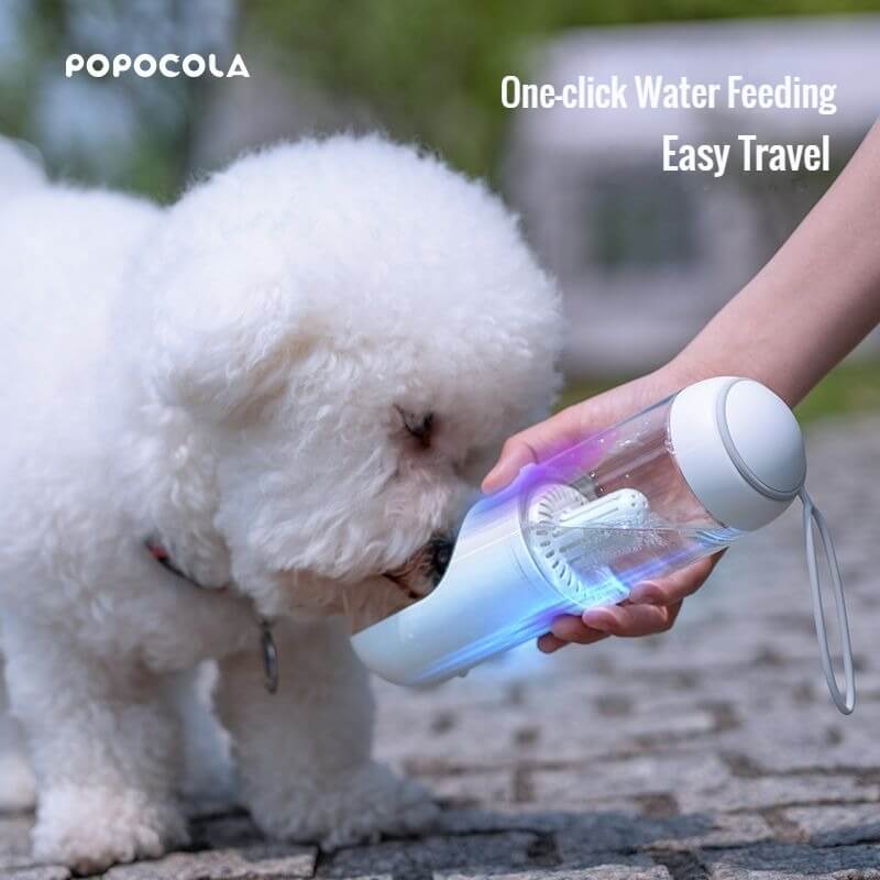 Dog Water Bottle | POPOPCOLA