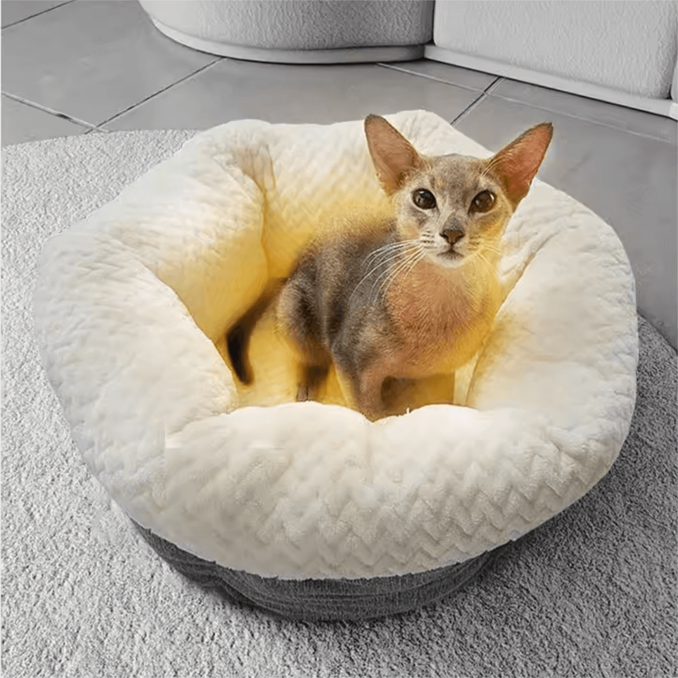 Heated CatDog Bed Indoor 009