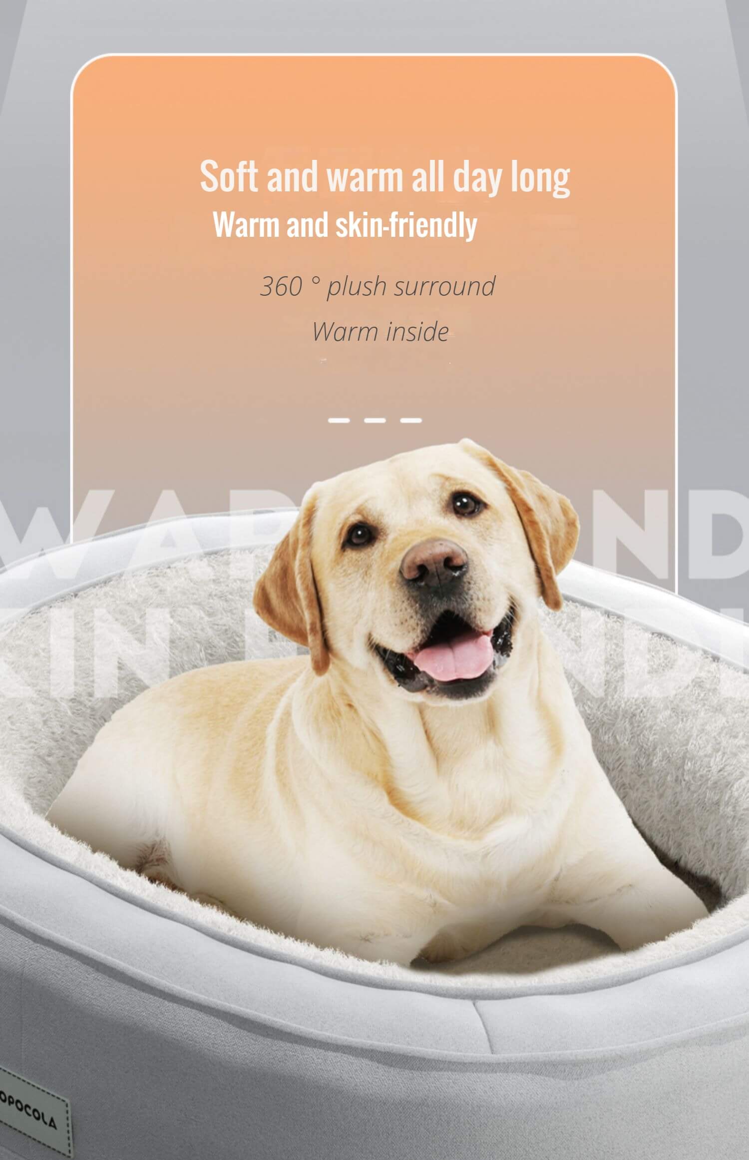 large-dog-bed-014